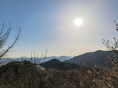 趋势的力量